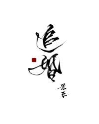 追婚男女电视剧