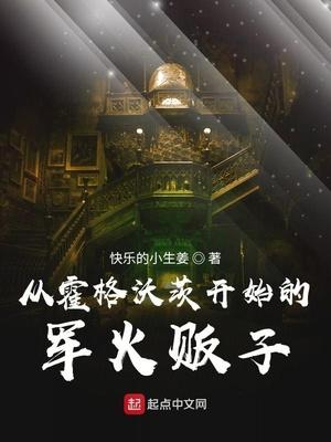 从霍格沃滋开始的军火贩子