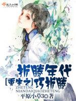 重生之折腾年代巧折腾txt