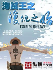 海贼王之复仇之路