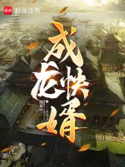 乘龙怪婿第一季粤语版在线观看