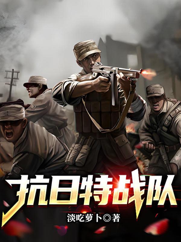 抗日特战队40集