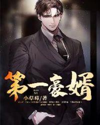 第一豪婿林阳苏颜全文免费阅读