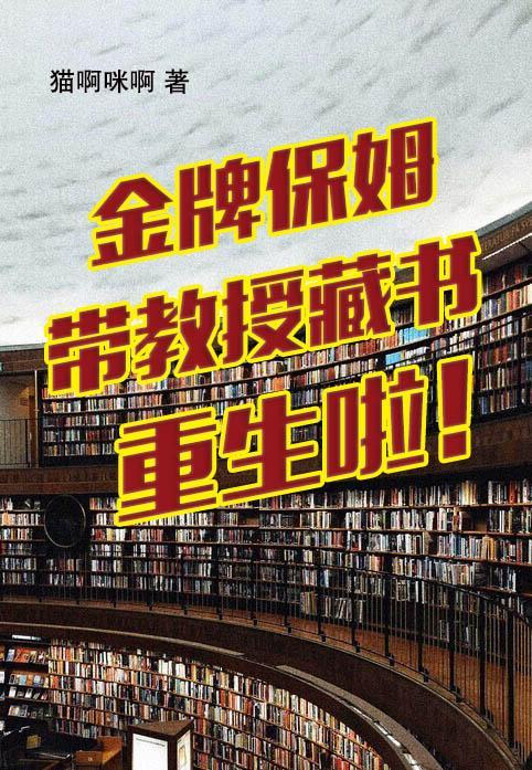 金牌保姆电视剧剧情介绍