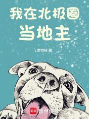 我在北极圈当地主破解